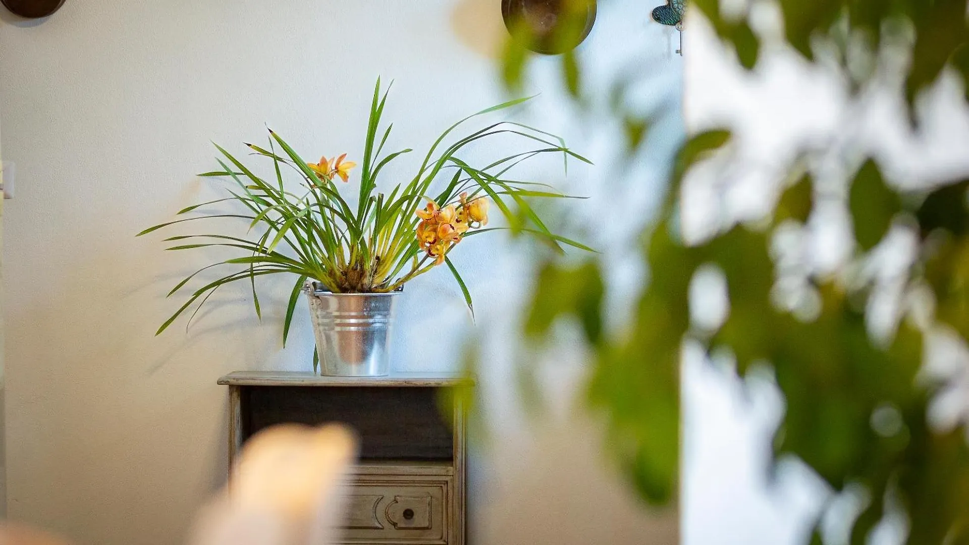 Farm stay La Valle A Polvereto Villa Tavarnelle in Val di Pesa Italy