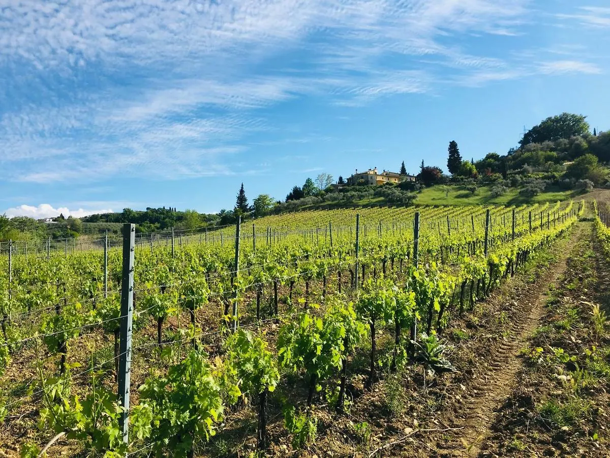 Farm stay La Valle A Polvereto Villa Tavarnelle in Val di Pesa